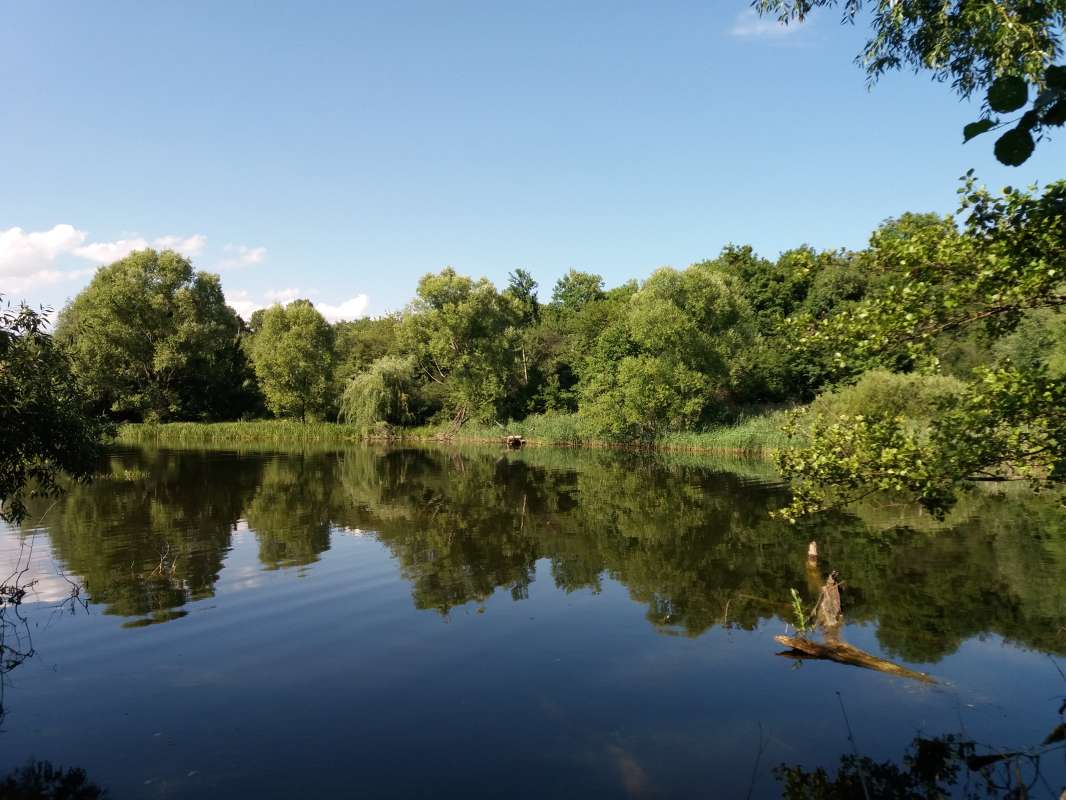 ������ �����. ����� Pavel Filipenkov �� PhotoGeek.ru #������ ��� �������