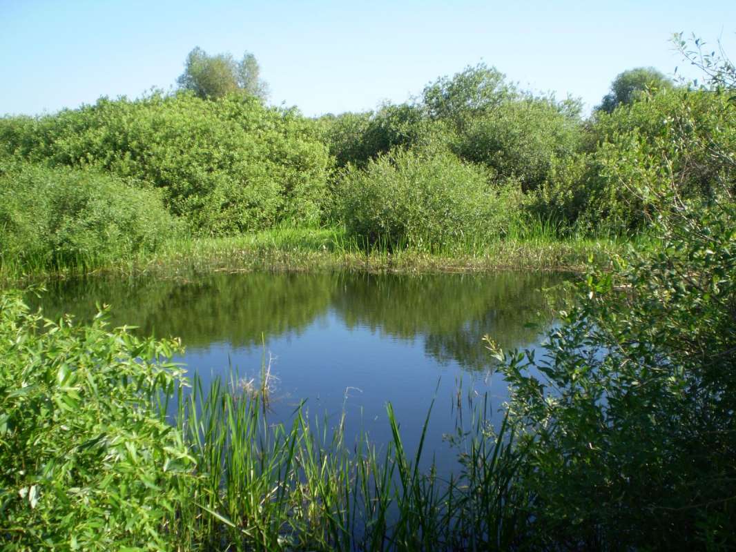 ��������� �������. ����� Pavel Filipenkov �� PhotoGeek.ru #������ ��� �������