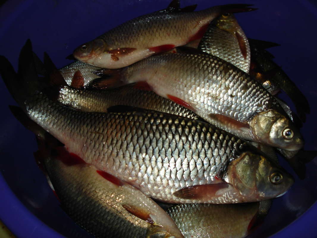 ������ ������. ����� Pavel Filipenkov �� PhotoGeek.ru #������ ��� �������