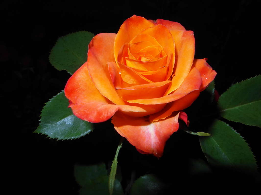 ���������. ����� Pavel Filipenkov �� PhotoGeek.ru #�����