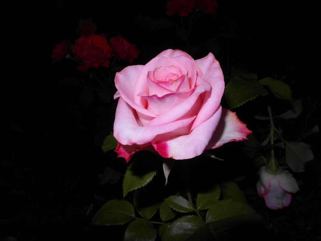 ������. ����� Pavel Filipenkov �� PhotoGeek.ru #�����