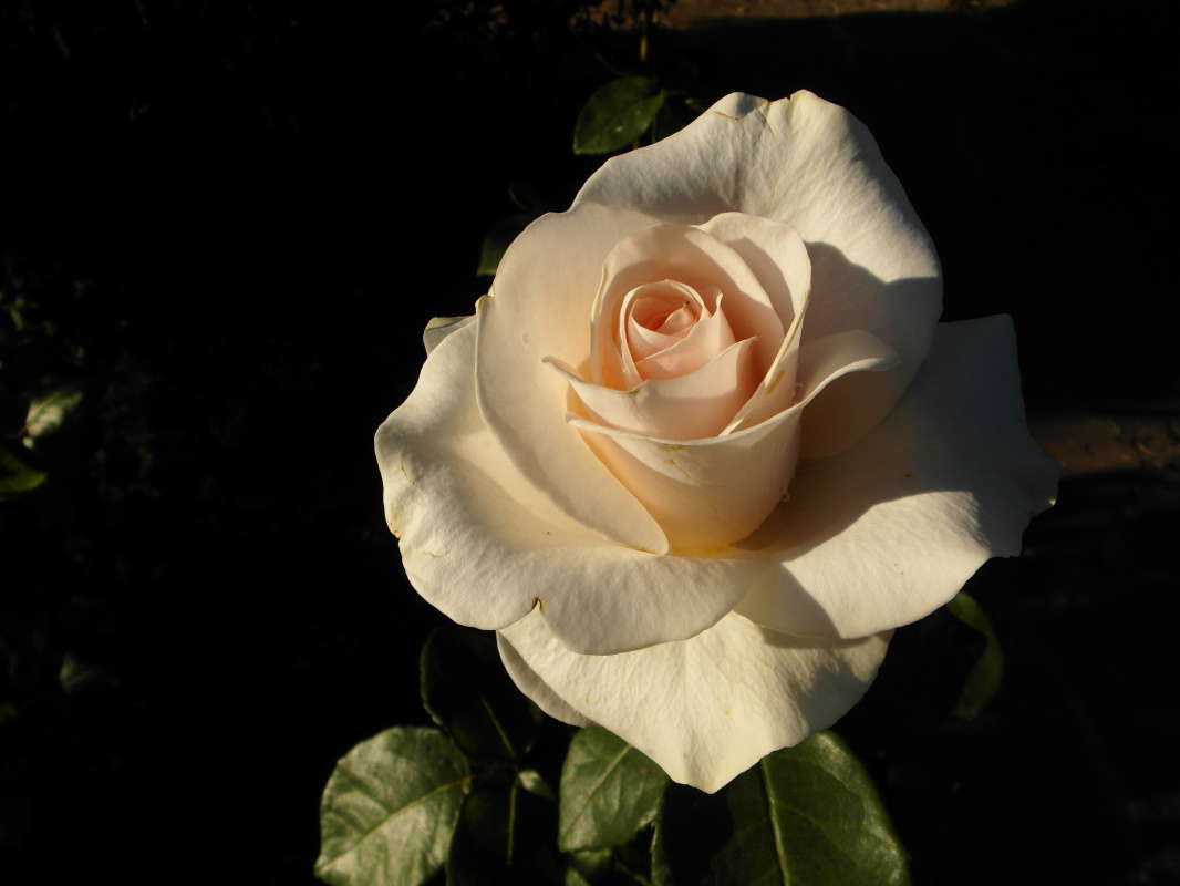 ��������. ����� Pavel Filipenkov �� PhotoGeek.ru #�����