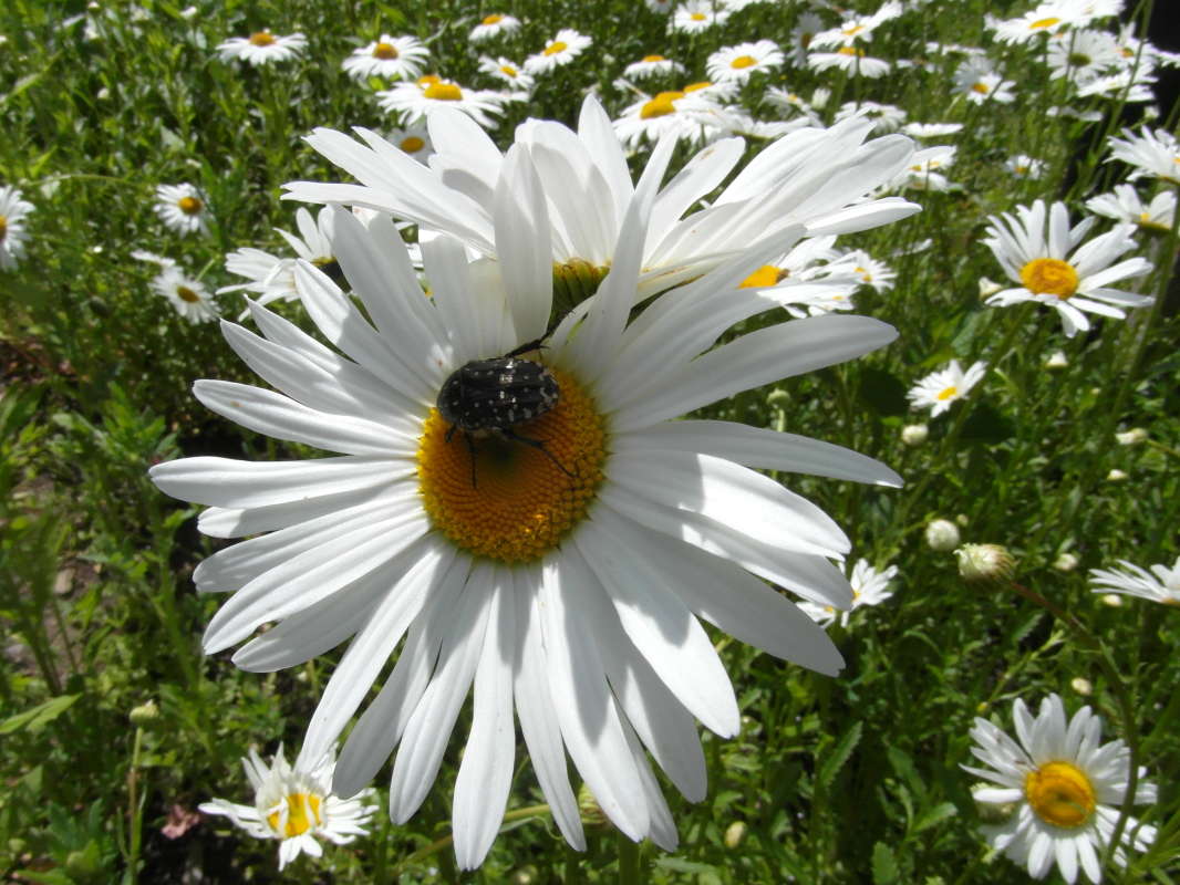 ����������.. ����� Pavel Filipenkov �� PhotoGeek.ru #�����