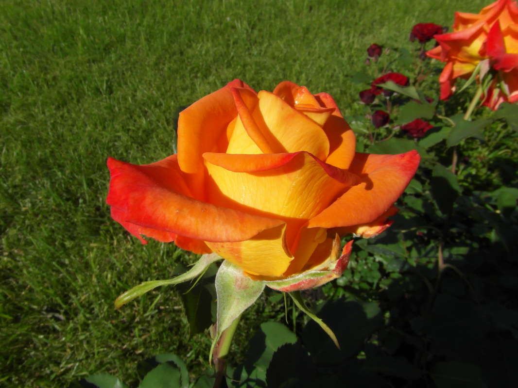 "�������������". ����� Pavel Filipenkov �� PhotoGeek.ru #�����