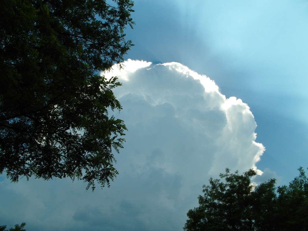 �������� �����. ����� Pavel Filipenkov �� PhotoGeek.ru #������ ��� �������