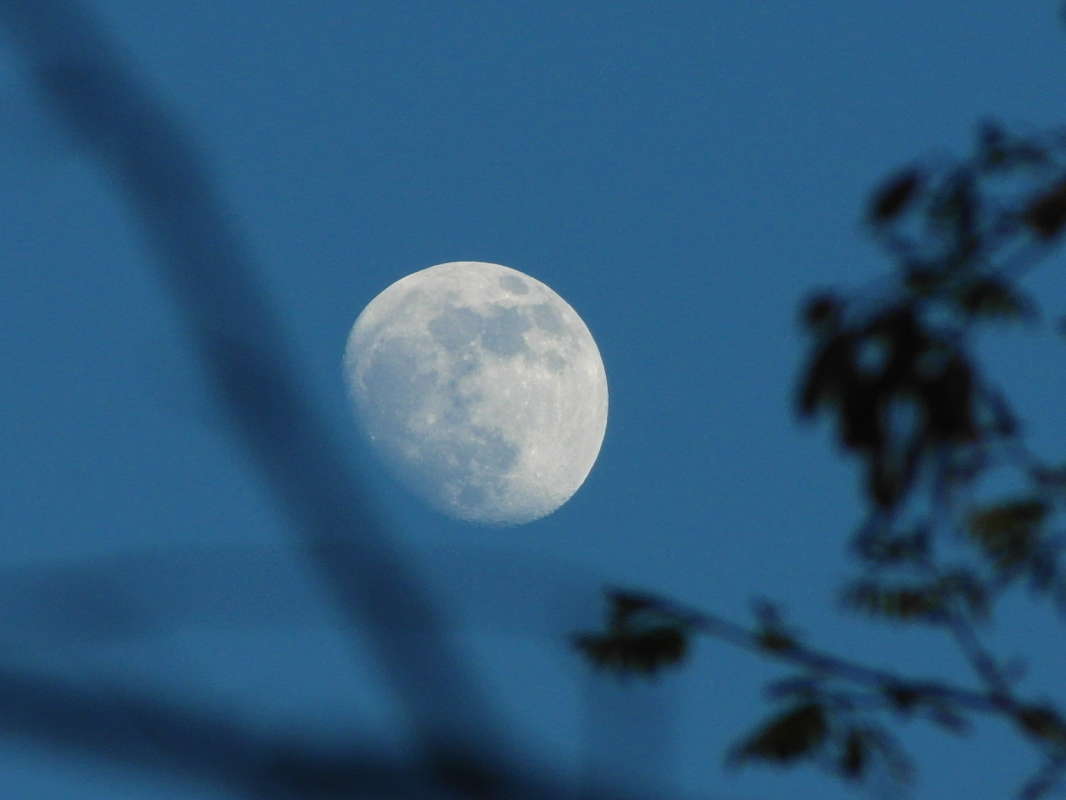 ������ �����. ����� Pavel Filipenkov �� PhotoGeek.ru #������ ��� �������