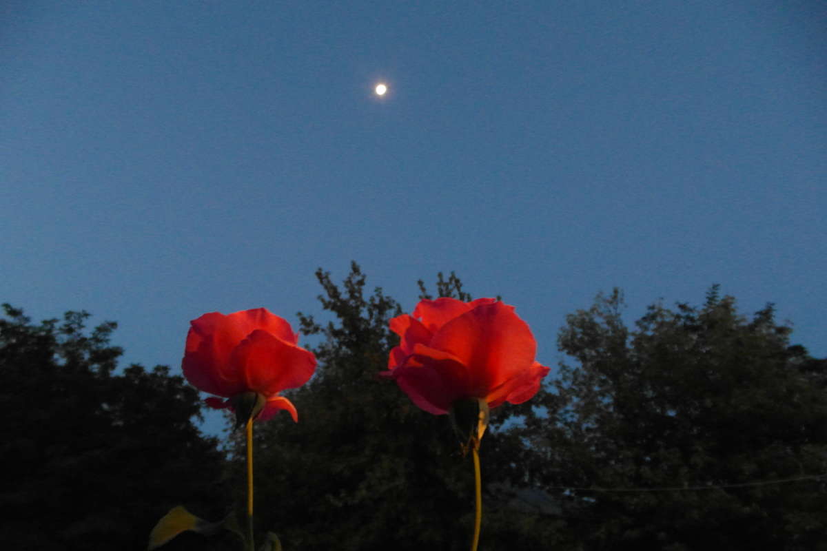 ��� �����.. ����� Pavel Filipenkov �� PhotoGeek.ru #������ ��� �������