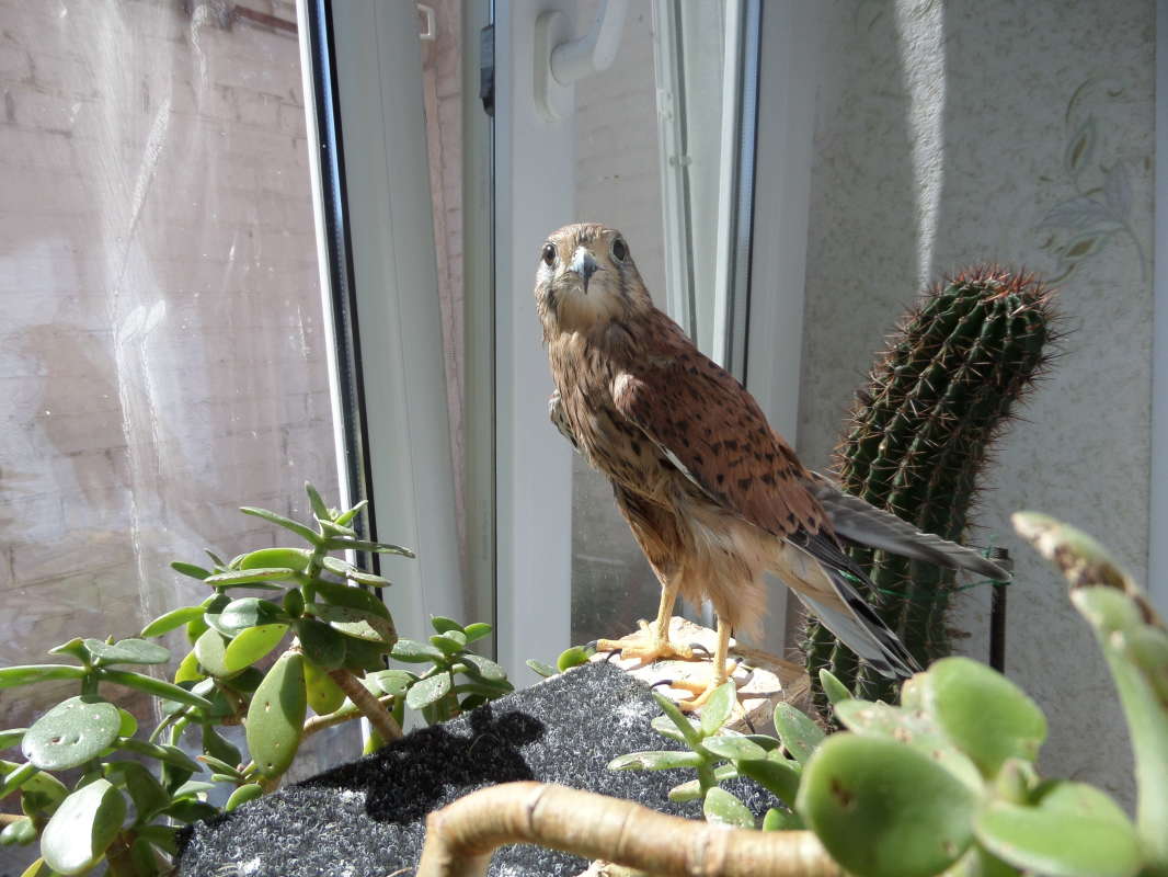 �� ��������. ����� Pavel Filipenkov �� PhotoGeek.ru #�������� ���