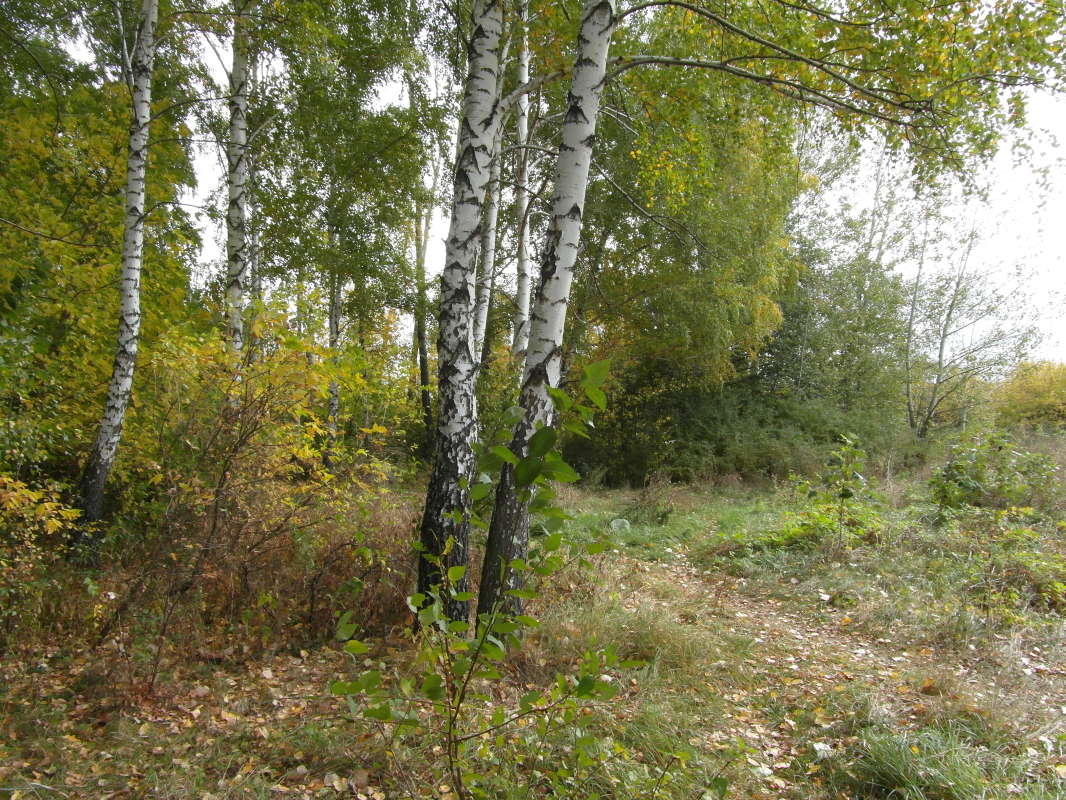 ��� � �����. ����� Pavel Filipenkov �� PhotoGeek.ru #������ ��� �������