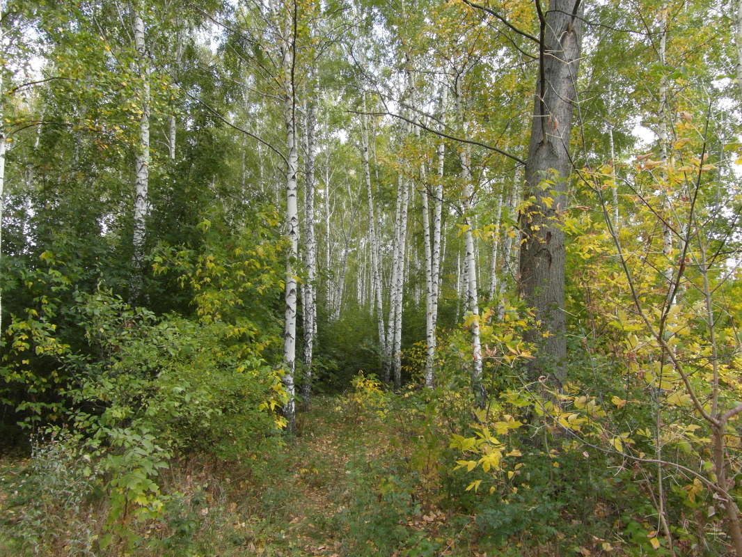 *** ����� Pavel Filipenkov �� PhotoGeek.ru #������ ��� �������