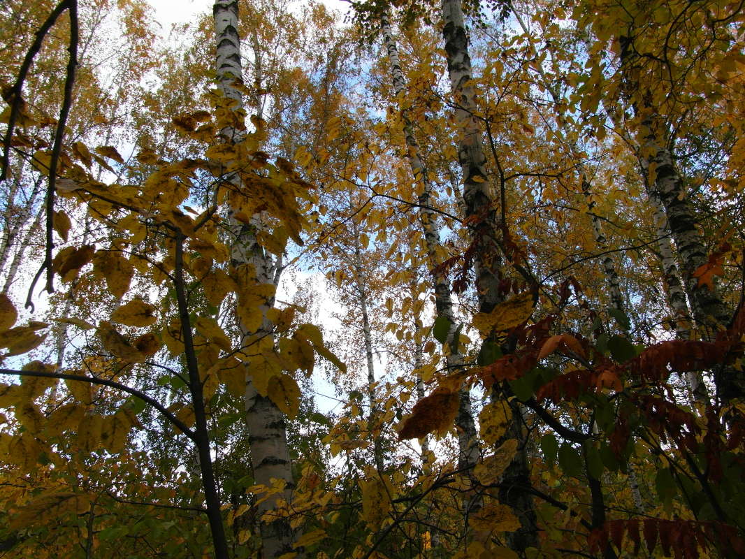 *** ����� Pavel Filipenkov �� PhotoGeek.ru #������ ��� �������