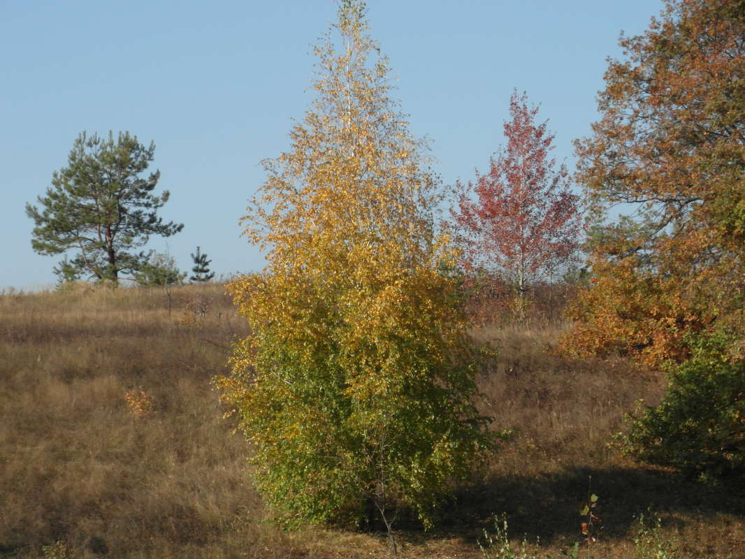 ����� ����� Pavel Filipenkov �� PhotoGeek.ru #������ ��� �������