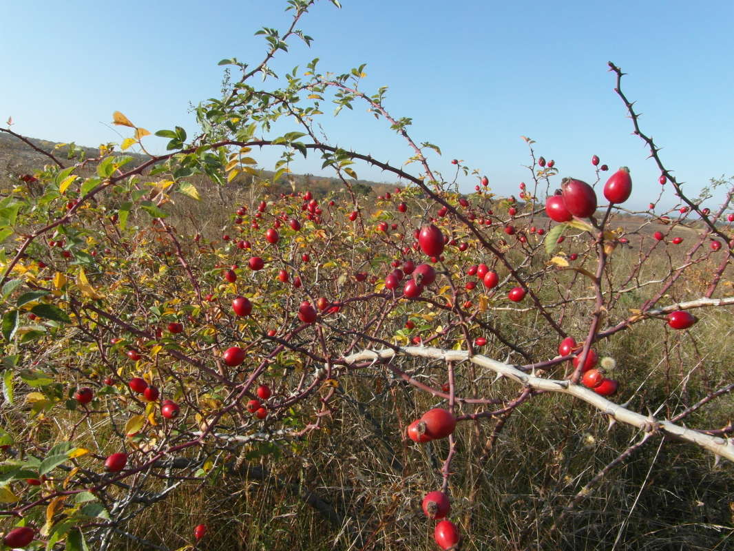 ��������. ����� Pavel Filipenkov �� PhotoGeek.ru #������ ��� �������