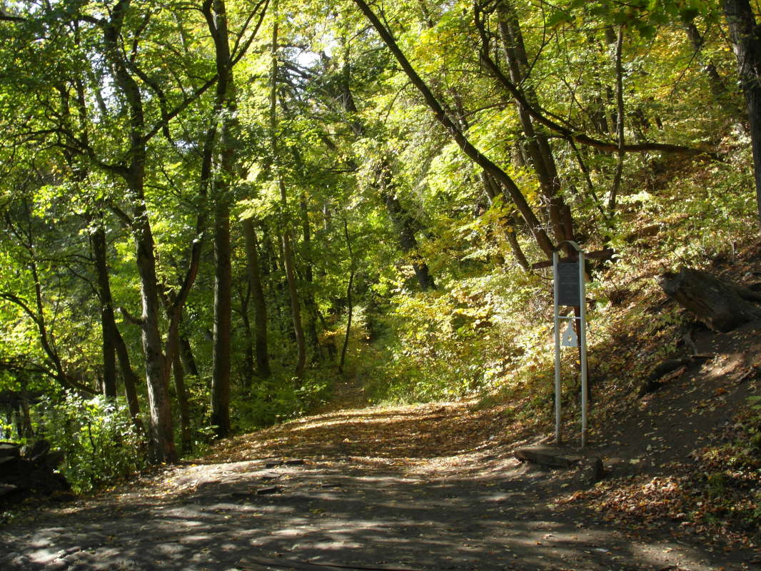 ������ � ���������. ����� Pavel Filipenkov �� PhotoGeek.ru #������ ��� �������