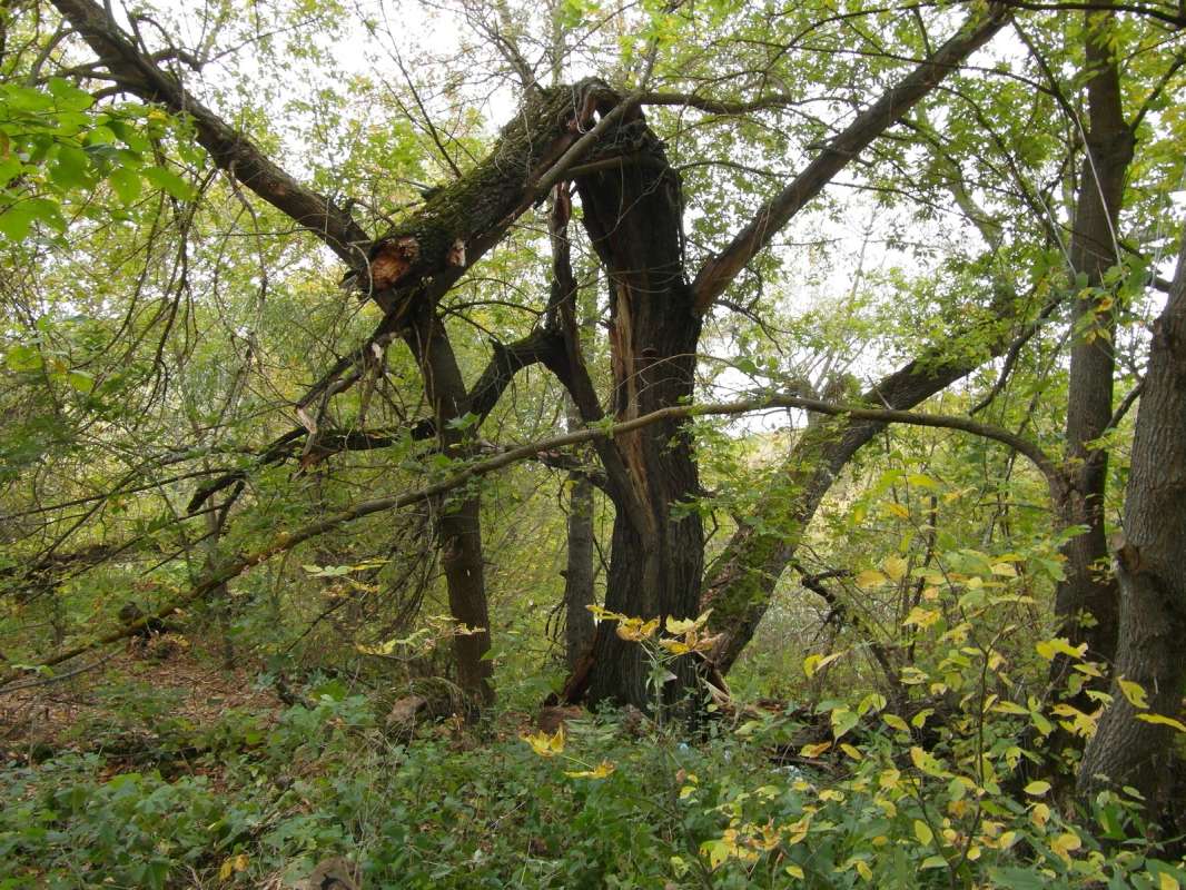 �������... ����� Pavel Filipenkov �� PhotoGeek.ru #������ ��� �������