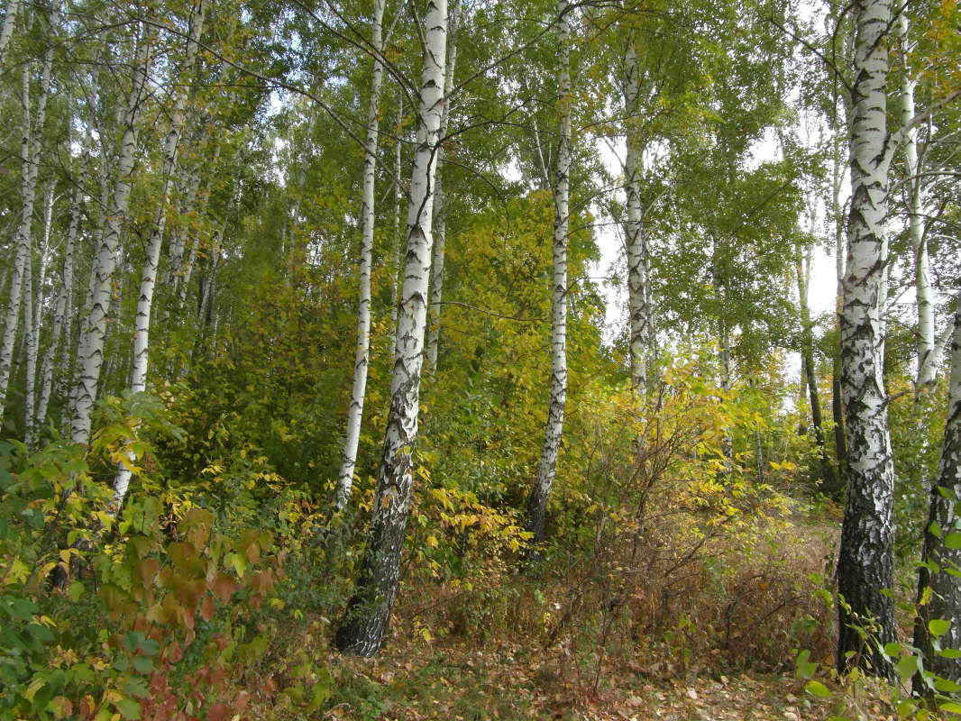 ������� �������. ����� Pavel Filipenkov �� PhotoGeek.ru #������ ��� �������