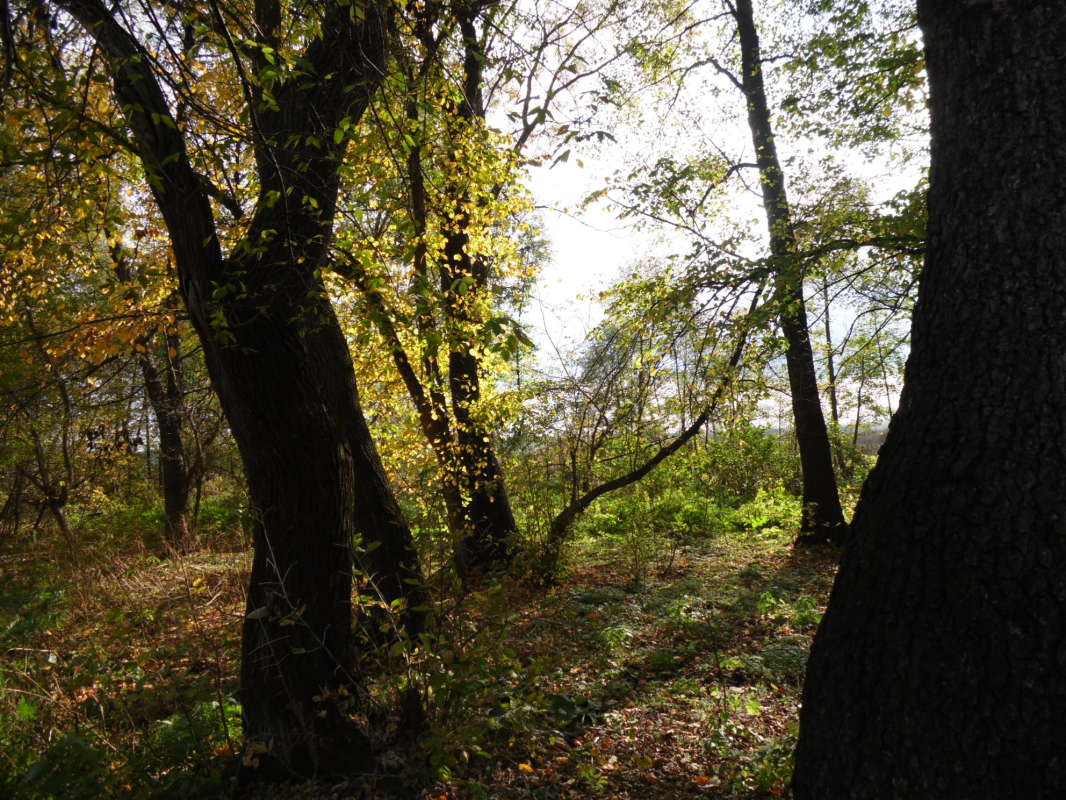 *** ����� Pavel Filipenkov �� PhotoGeek.ru #������ ��� �������