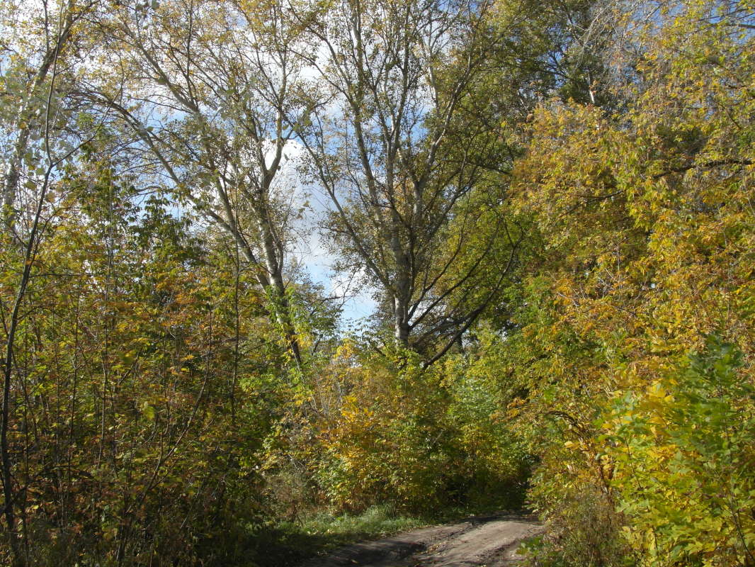 *** ����� Pavel Filipenkov �� PhotoGeek.ru #������ ��� �������