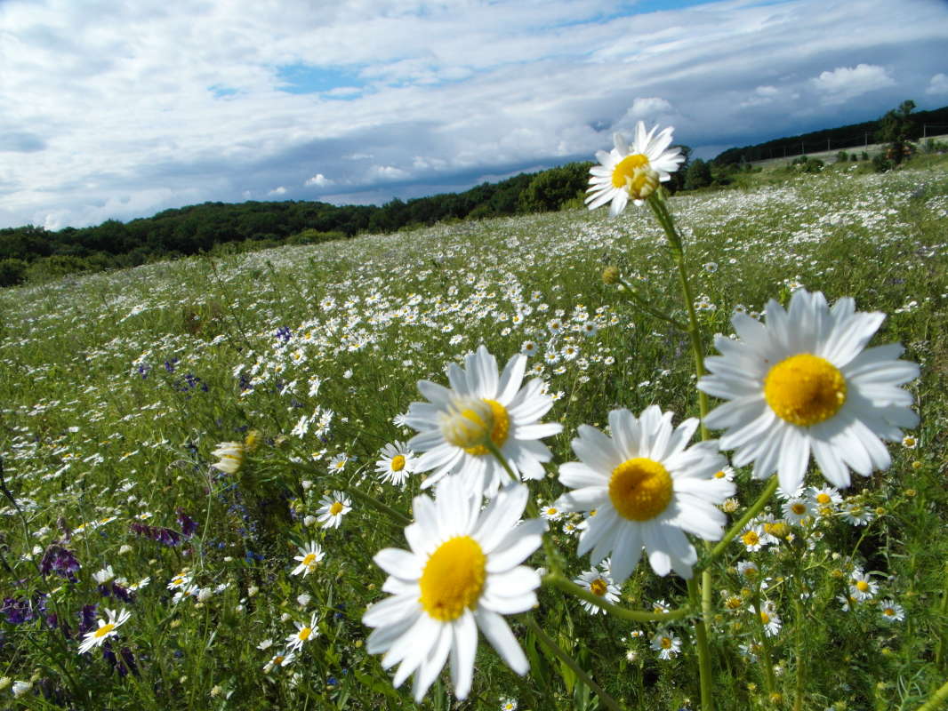 *** ����� Pavel Filipenkov �� PhotoGeek.ru #������ ��� �������