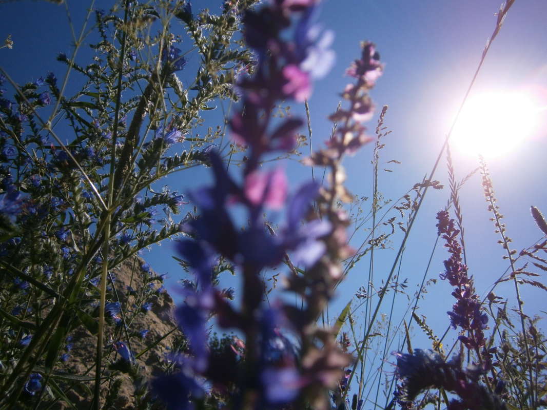 *** ����� Pavel Filipenkov �� PhotoGeek.ru #������ ��� �������