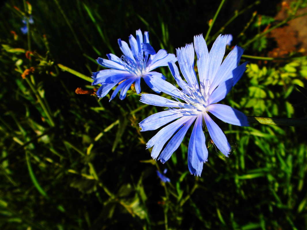 *** ����� Pavel Filipenkov �� PhotoGeek.ru #������ ��� �������