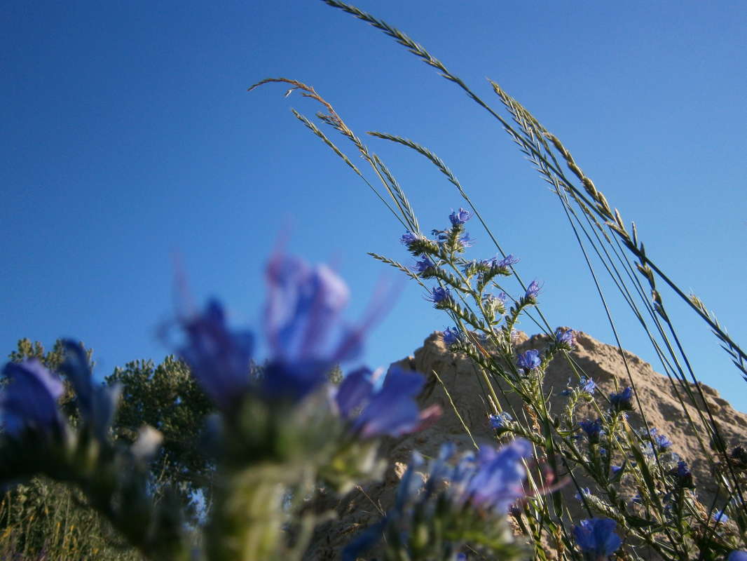 *** ����� Pavel Filipenkov �� PhotoGeek.ru #������ ��� �������