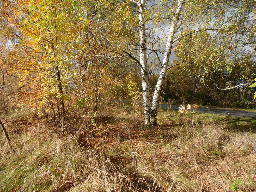 *** ����� Pavel Filipenkov �� PhotoGeek.ru #������ ��� �������