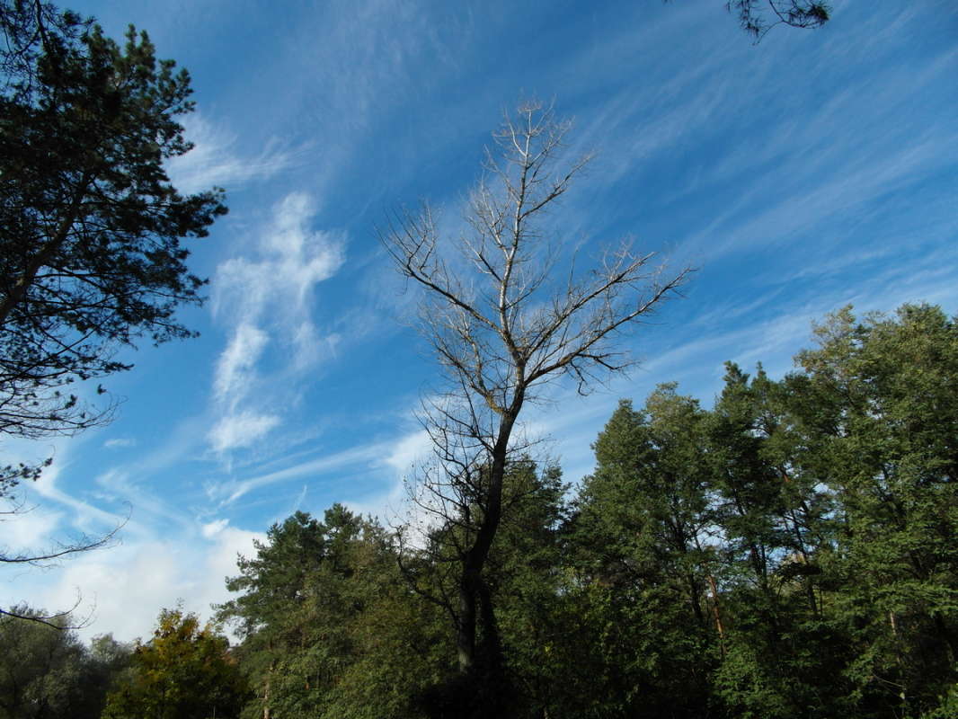 *** ����� Pavel Filipenkov �� PhotoGeek.ru #������ ��� �������