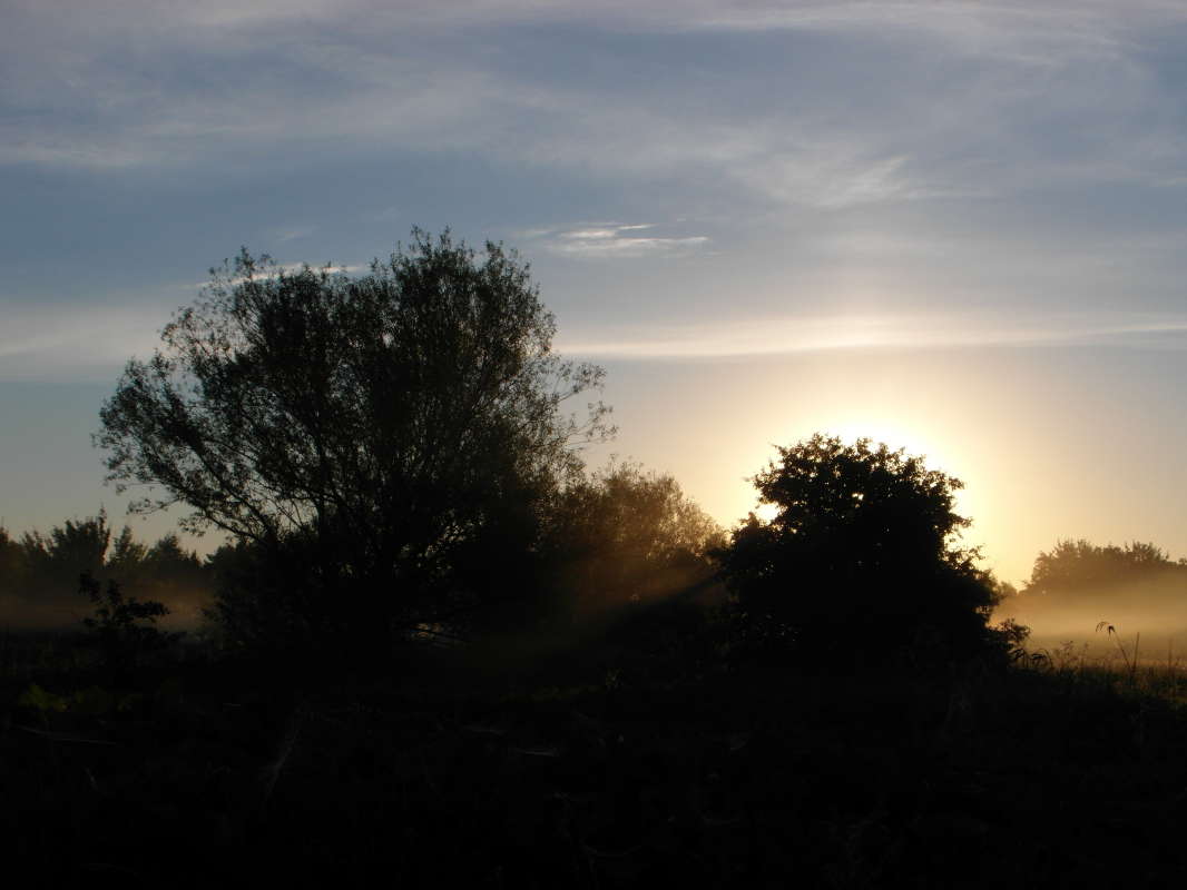 *** ����� Pavel Filipenkov �� PhotoGeek.ru #������ ��� �������