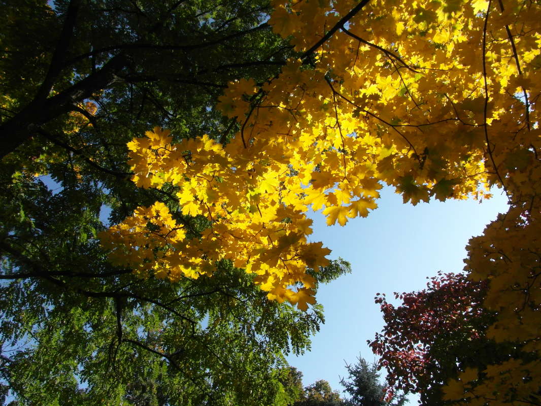 *** ����� Pavel Filipenkov �� PhotoGeek.ru #������ ��� �������