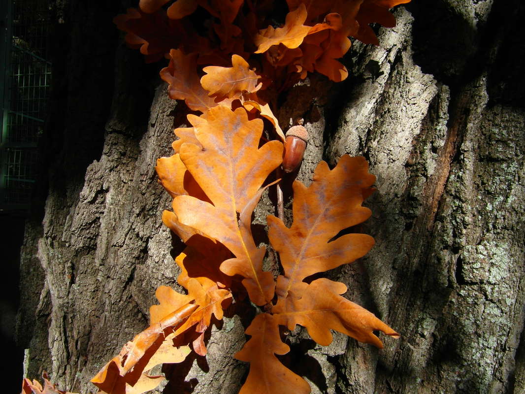 *** ����� Pavel Filipenkov �� PhotoGeek.ru #������ ��� �������