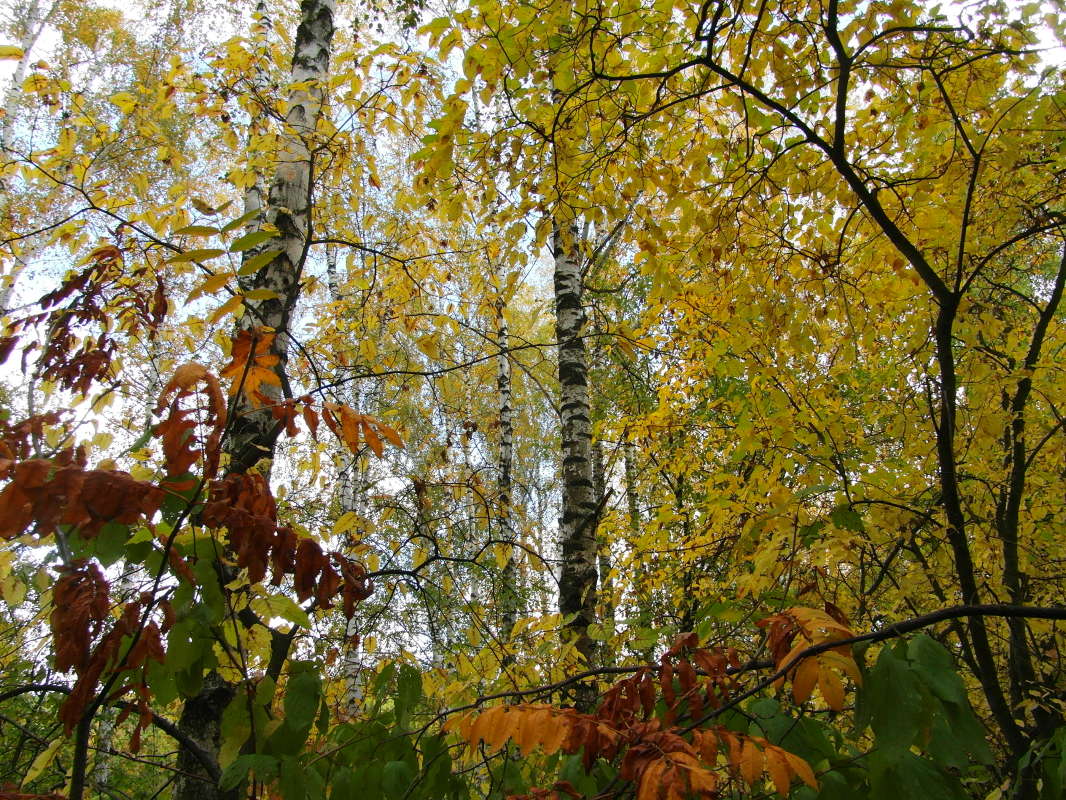 *** ����� Pavel Filipenkov �� PhotoGeek.ru #������ ��� �������