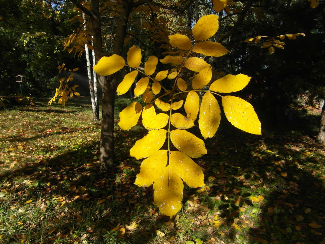 *** ����� Pavel Filipenkov �� PhotoGeek.ru #������ ��� �������