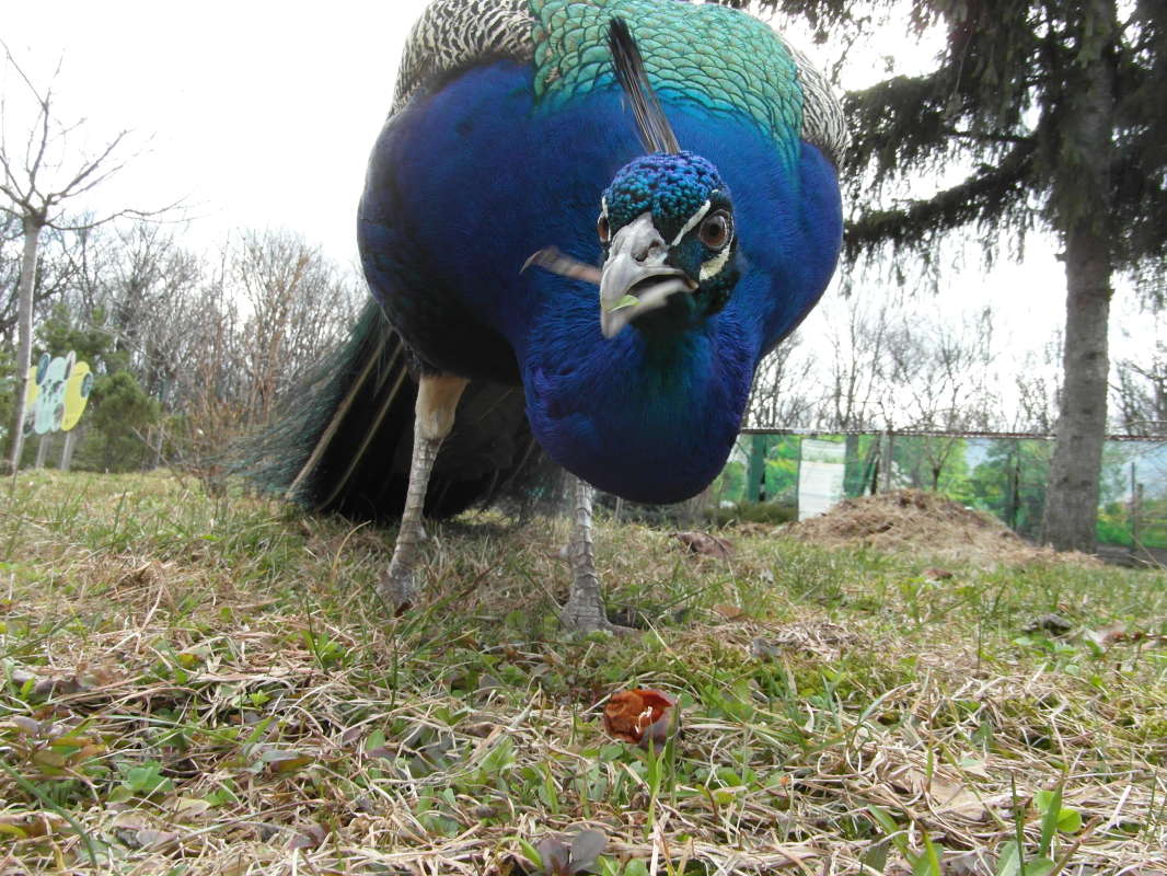 ������. ����� Pavel Filipenkov �� PhotoGeek.ru #�������� ���