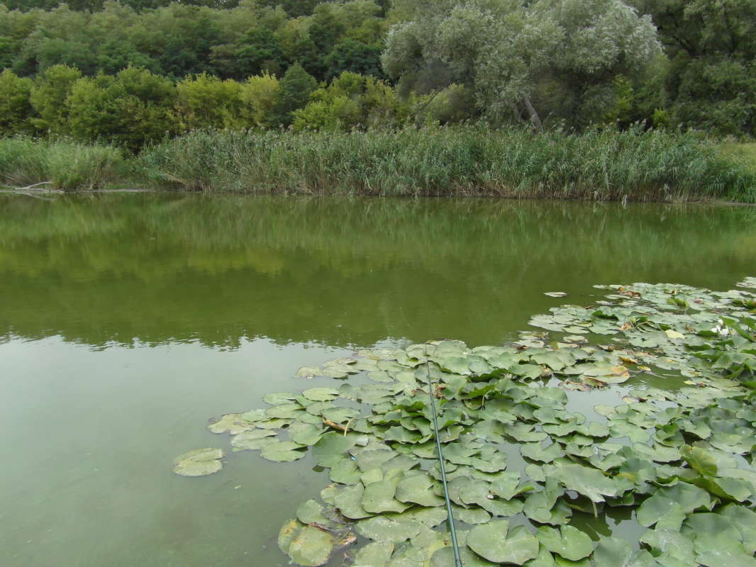 ������� �����. ����� Pavel Filipenkov �� PhotoGeek.ru #������ ��� �������