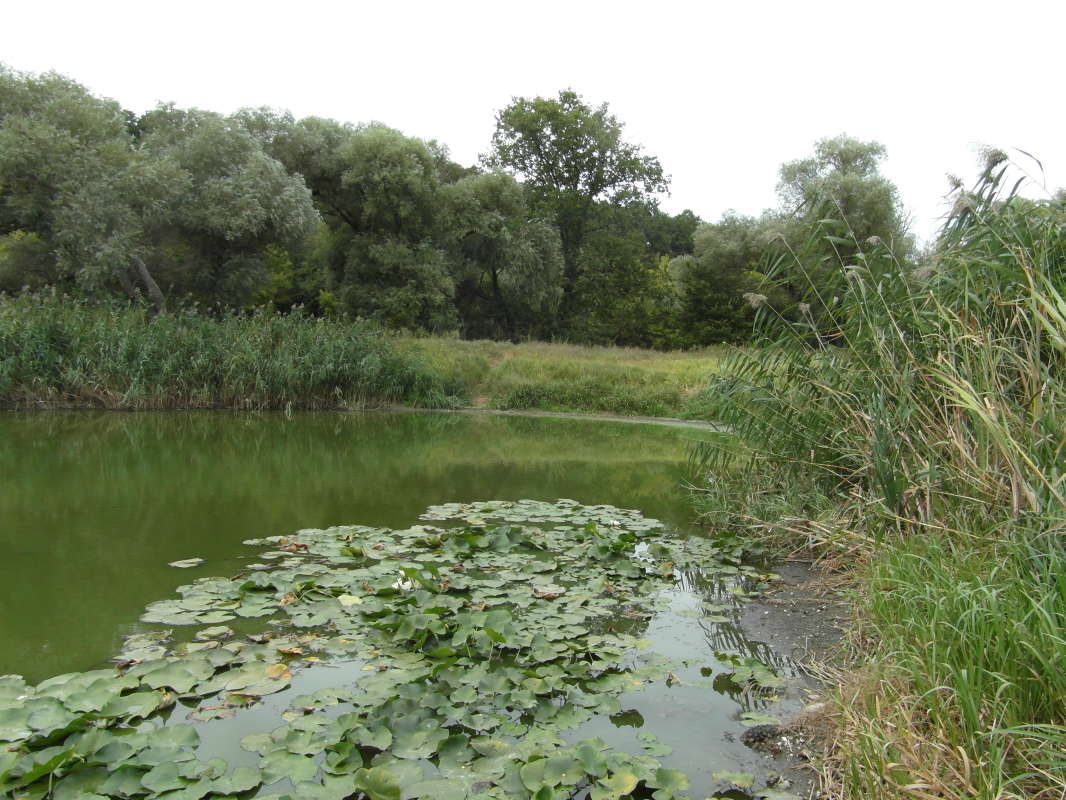 �����.�� ����� Pavel Filipenkov �� PhotoGeek.ru #������ ��� �������