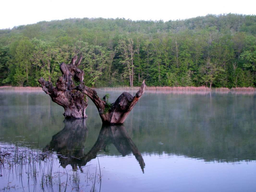 *** ����� Pavel Filipenkov �� PhotoGeek.ru #������ ��� �������