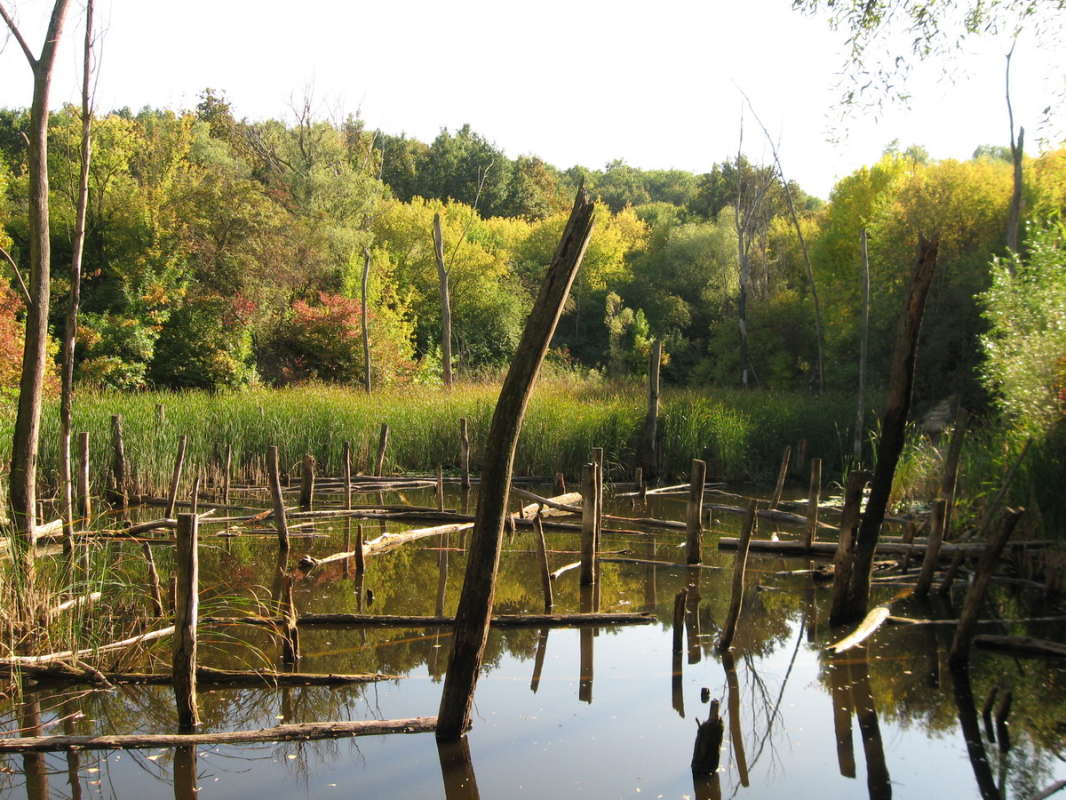 *** ����� Pavel Filipenkov �� PhotoGeek.ru #������ ��� �������