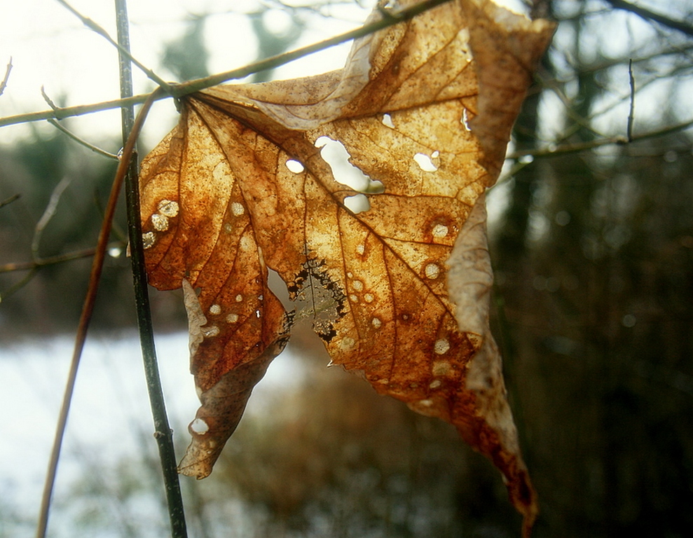 *** ����� Pavel Filipenkov �� PhotoGeek.ru #������ ��� �������