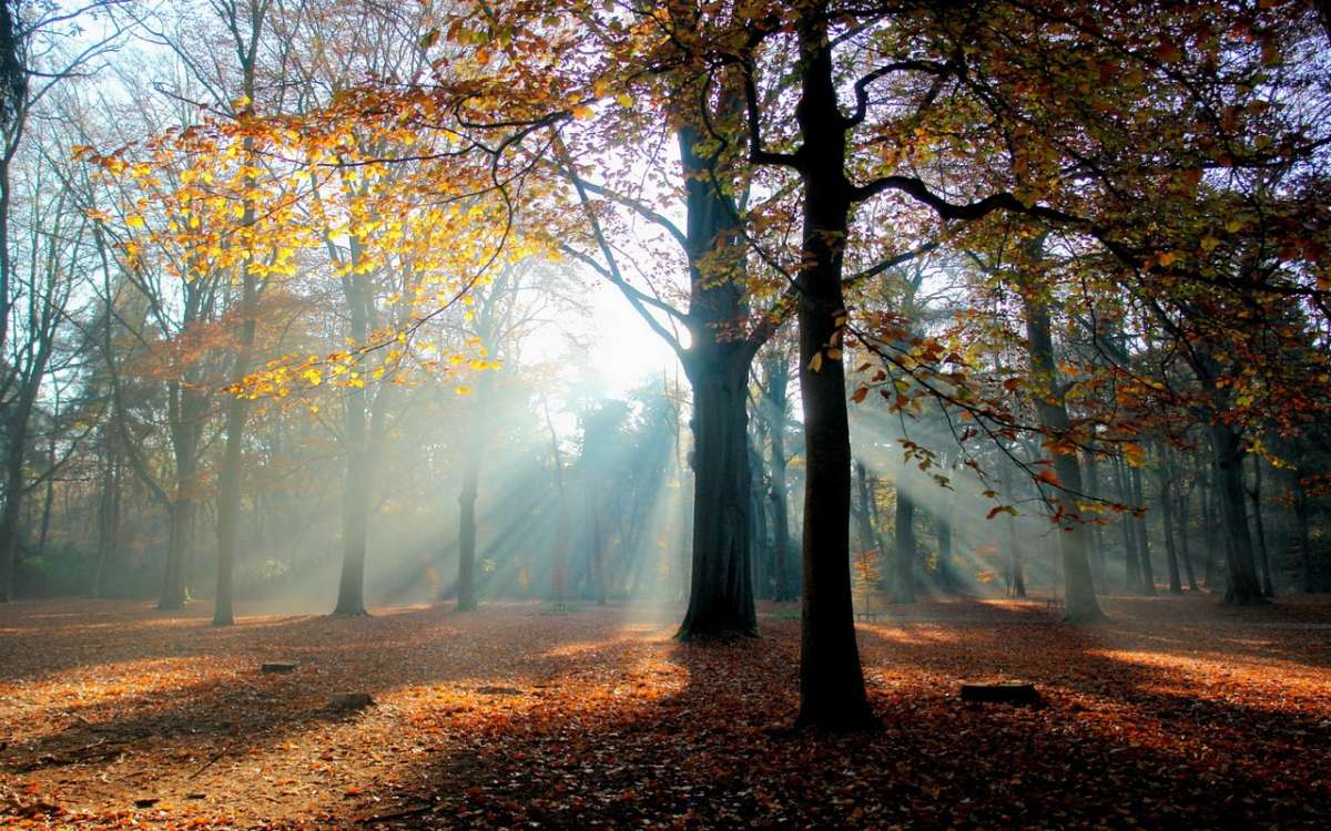 *** ����� Pavel Filipenkov �� PhotoGeek.ru #������ ��� �������