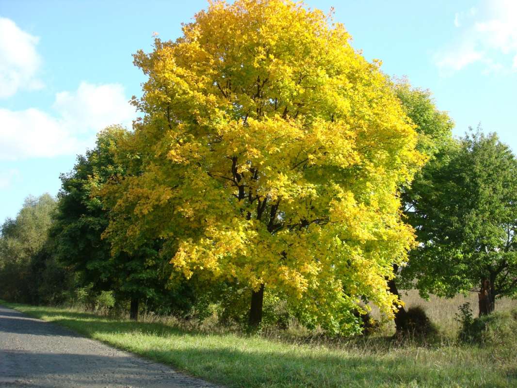 *** ����� Pavel Filipenkov �� PhotoGeek.ru #������ ��� �������