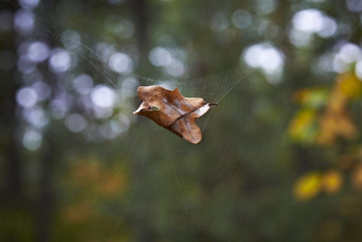 *** ����� Pavel Filipenkov �� PhotoGeek.ru #������ ��� �������