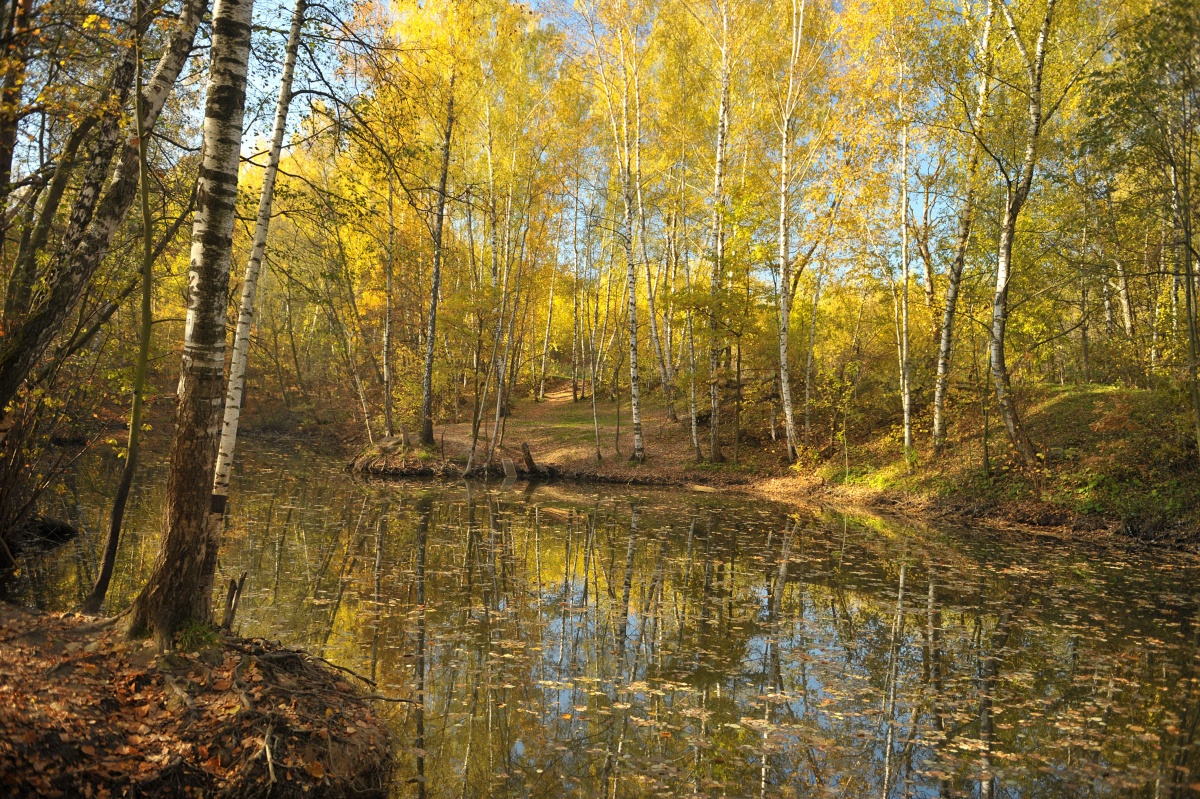 *** ����� Pavel Filipenkov �� PhotoGeek.ru #������ ��� �������