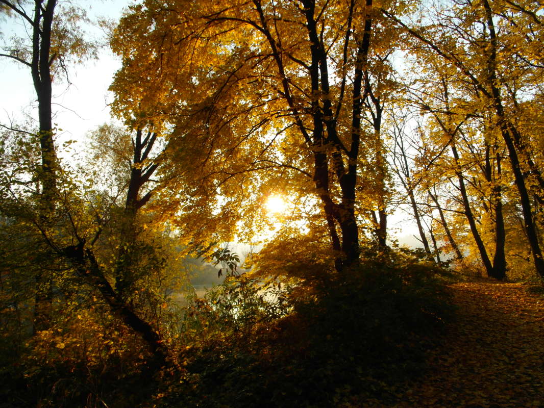 *** ����� Pavel Filipenkov �� PhotoGeek.ru #������ ��� �������