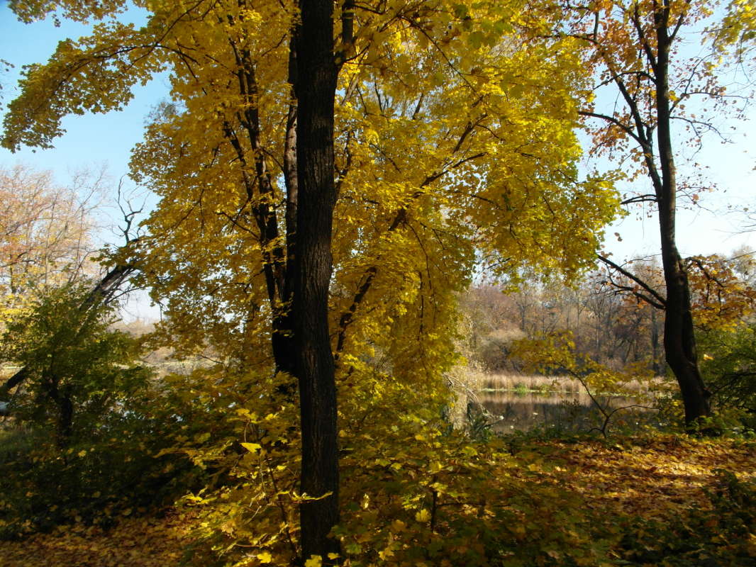 *** ����� Pavel Filipenkov �� PhotoGeek.ru #������ ��� �������