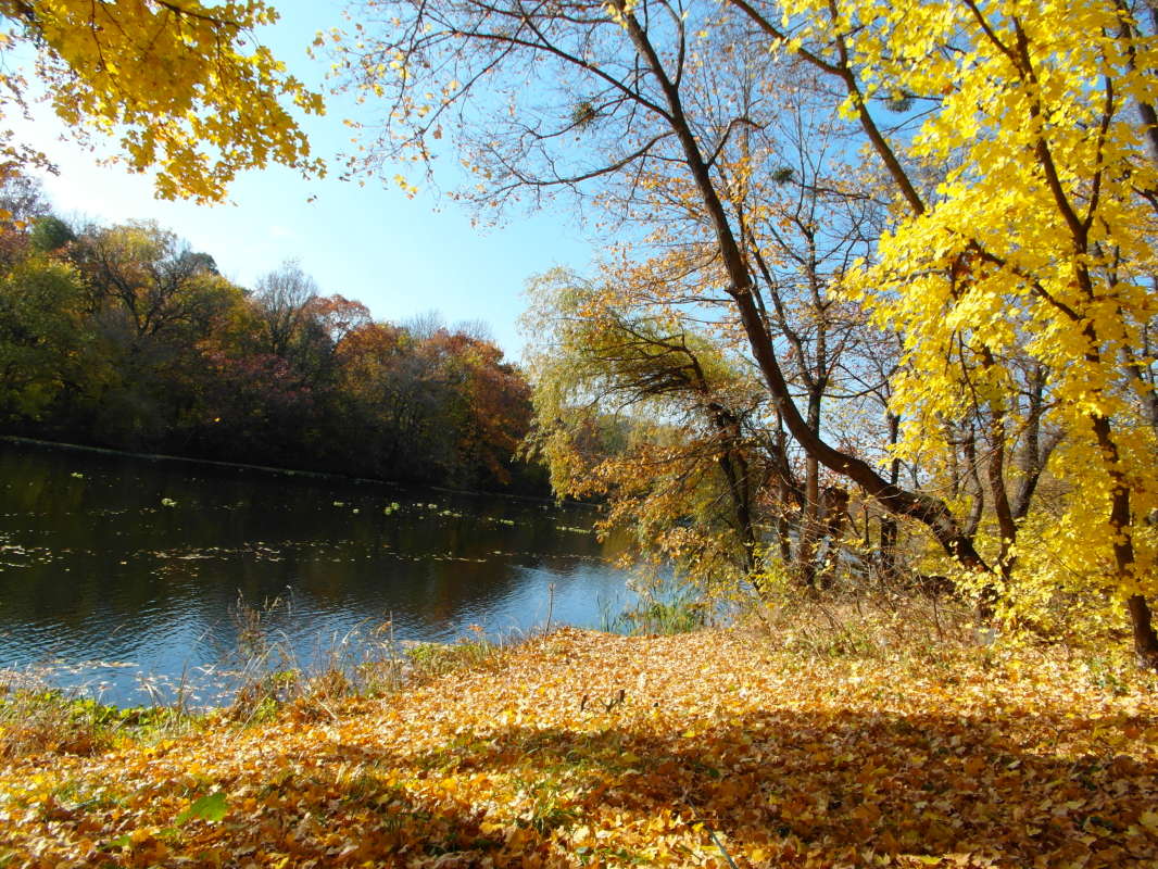 *** ����� Pavel Filipenkov �� PhotoGeek.ru #������ ��� �������