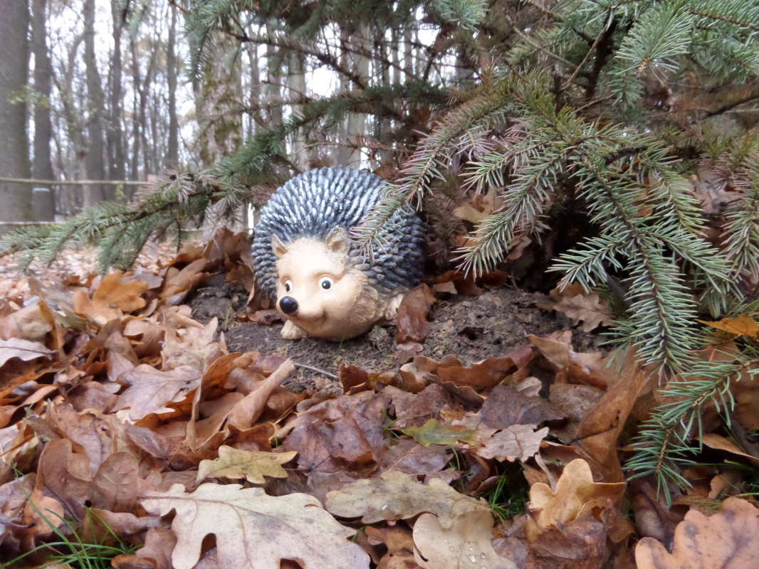 *** ����� Pavel Filipenkov �� PhotoGeek.ru #������ ��� �������