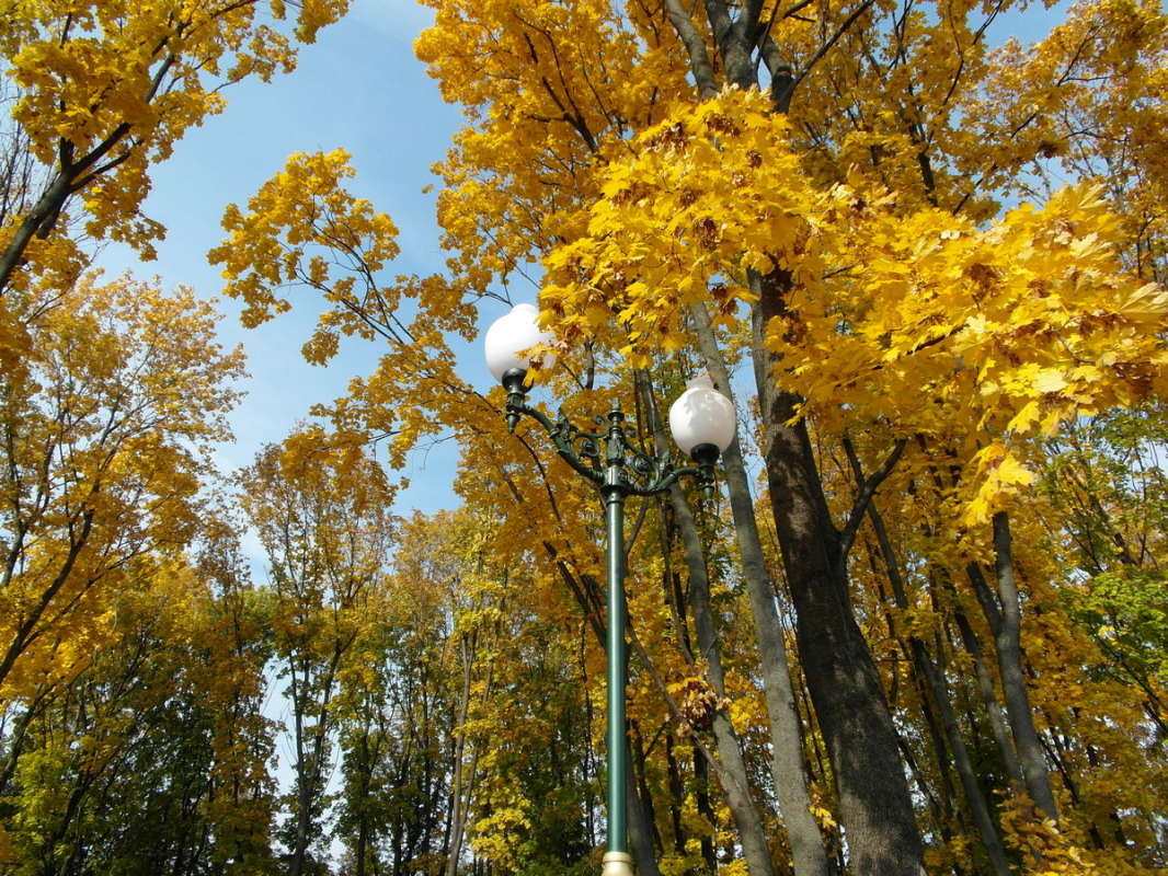 ... ����� Pavel Filipenkov �� PhotoGeek.ru #�����