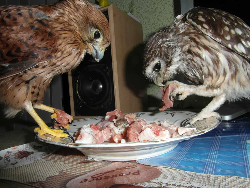 ������� ��������. ����� Pavel Filipenkov �� PhotoGeek.ru #�������� ���