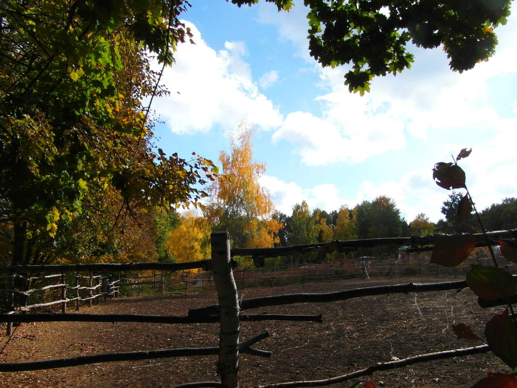 *** ����� Pavel Filipenkov �� PhotoGeek.ru #������ ��� �������